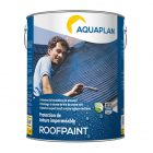 Roofpaint anthracite